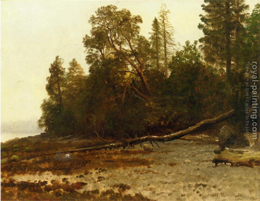 Albert Bierstadt : The Fallen Tree